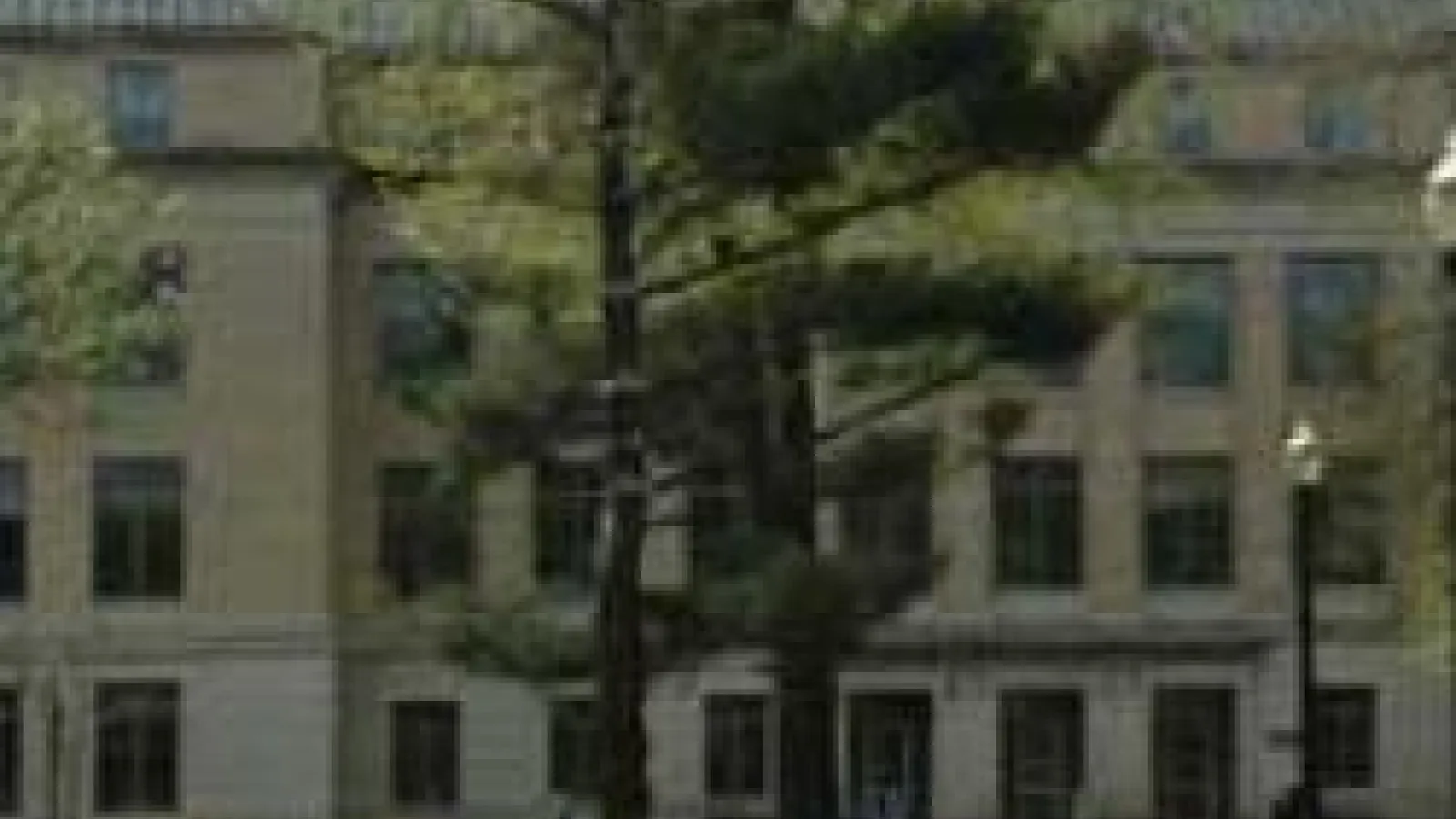 Building scenery